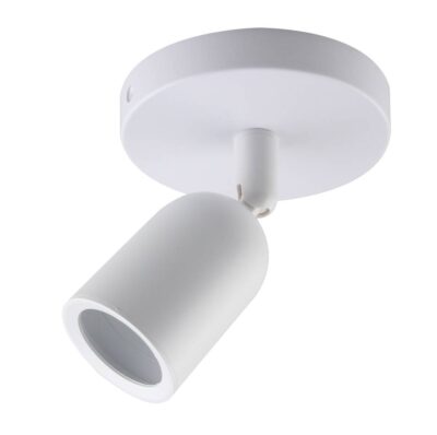 Spotlight Fixture Plastic WHITE None