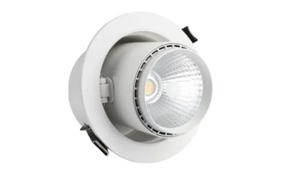 35W LED ЛУНА COB ПРАВОЪГЪЛНА, НАСОЧВАЩА СЕ, 2700K – CITIZEN CHIP